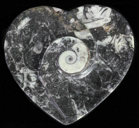Heart Shaped Fossil Goniatite Dish #61285